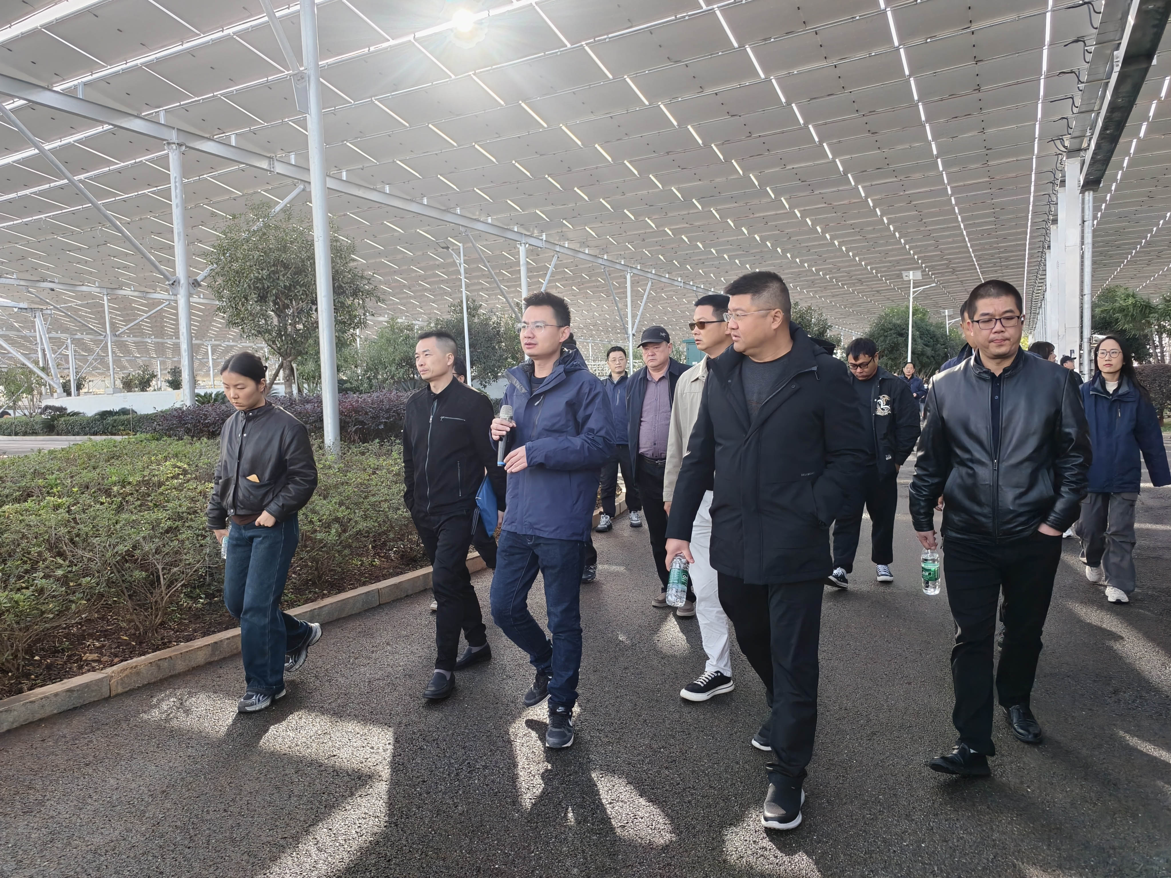 1767579336819977.jpg 1767579336819977.jpg